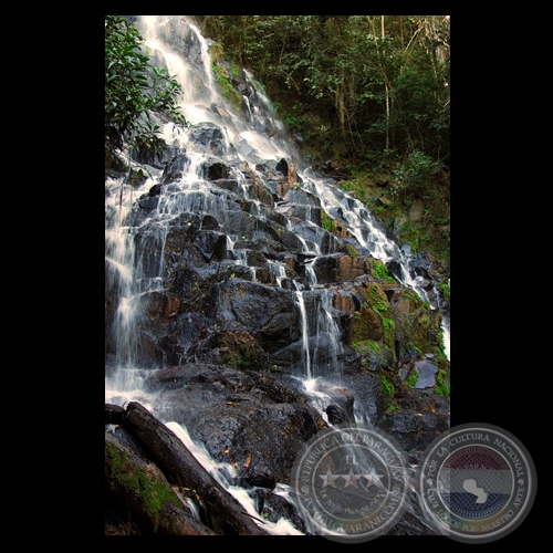 SALTO DE CARAPA (MBARACAYU) - Fotografía de FERNANDO ALLEN